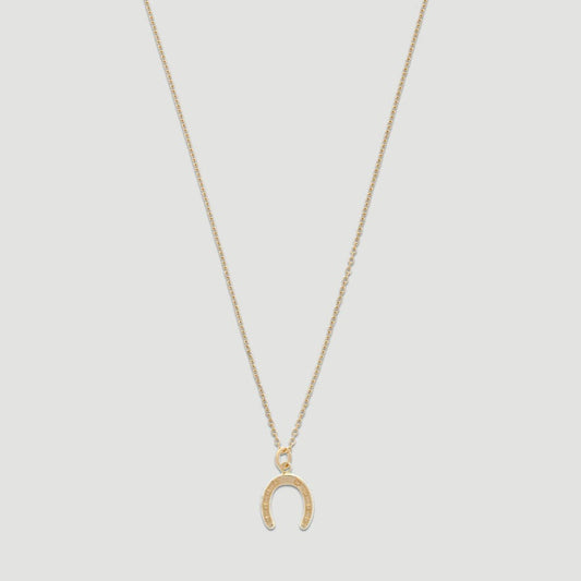 14k Gold Lucky Charm Necklace