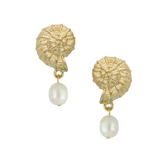 Shell Drop Dangle Earrings in Elegant Design