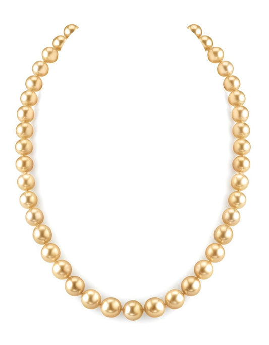 Elegant Golden South Sea Pearl Necklace in AAA Quality 2