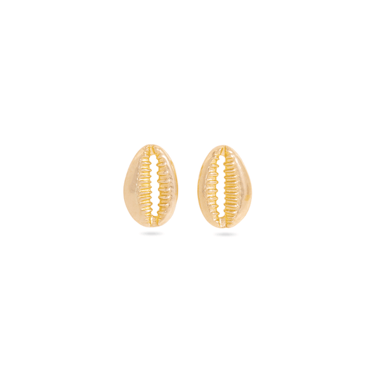 Shell Stud Earrings in Natural Design