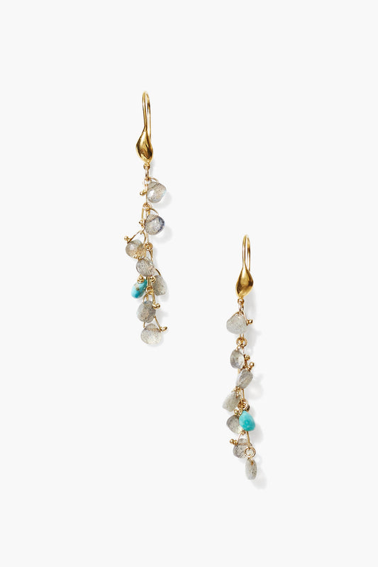 Labradorite Mix Earrings in Elegant Design