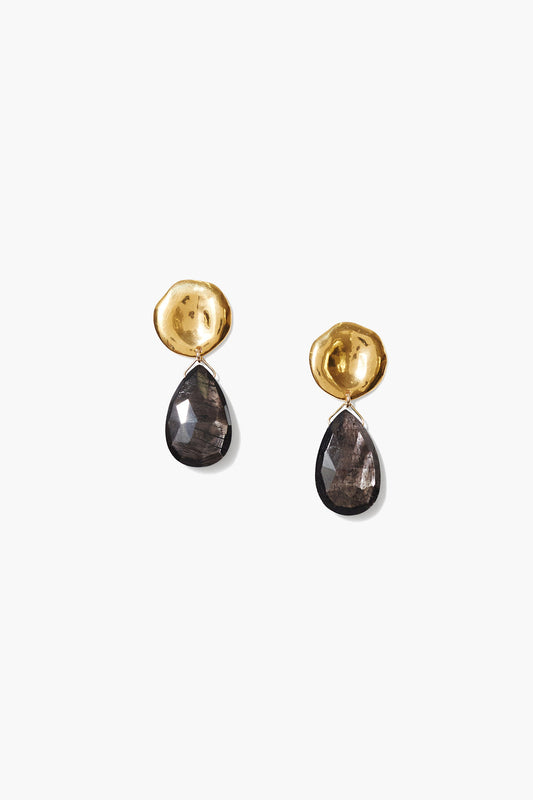 Hypersthene Coin Drop Earrings for Stylish Look