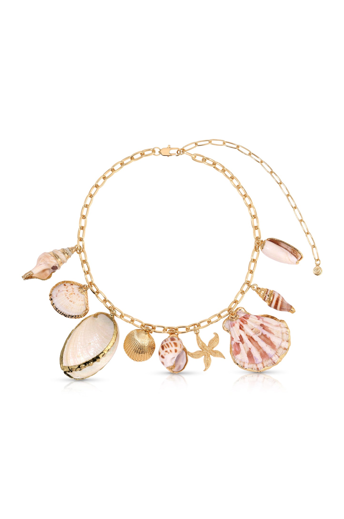 Assorted Shell Necklace with Unique Beach Design