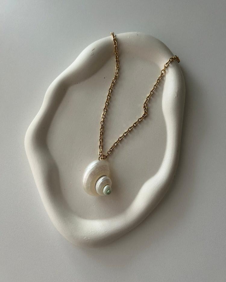 Shell Necklace in Elegant Design