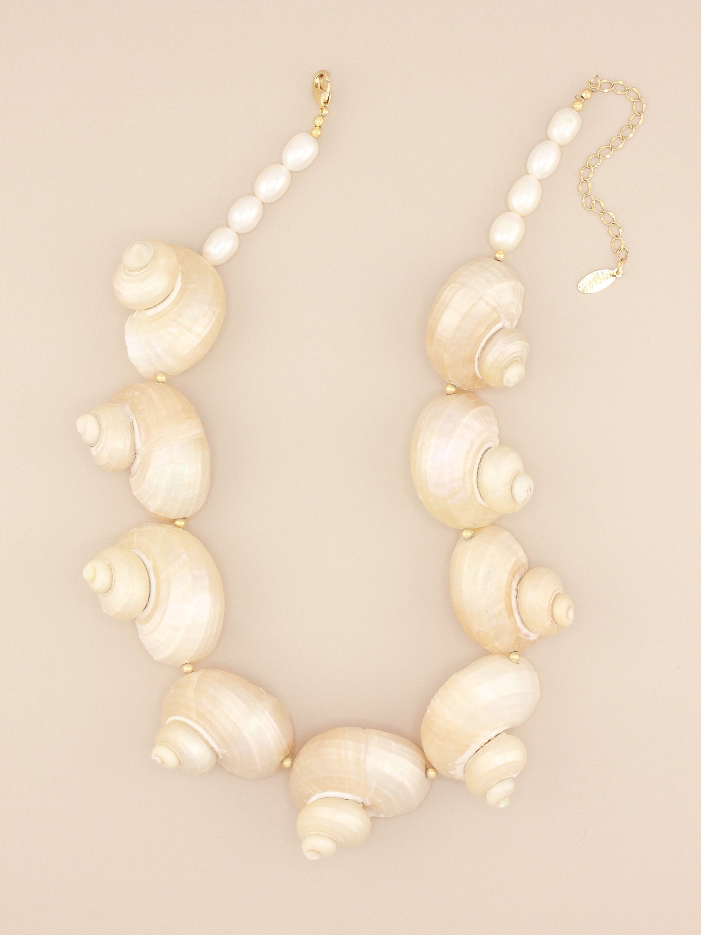 Large Multi Jumbo Turbo Shell Necklace