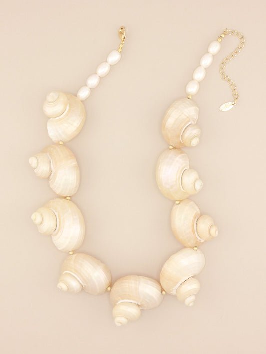 Large Multi Jumbo Turbo Shell Necklace