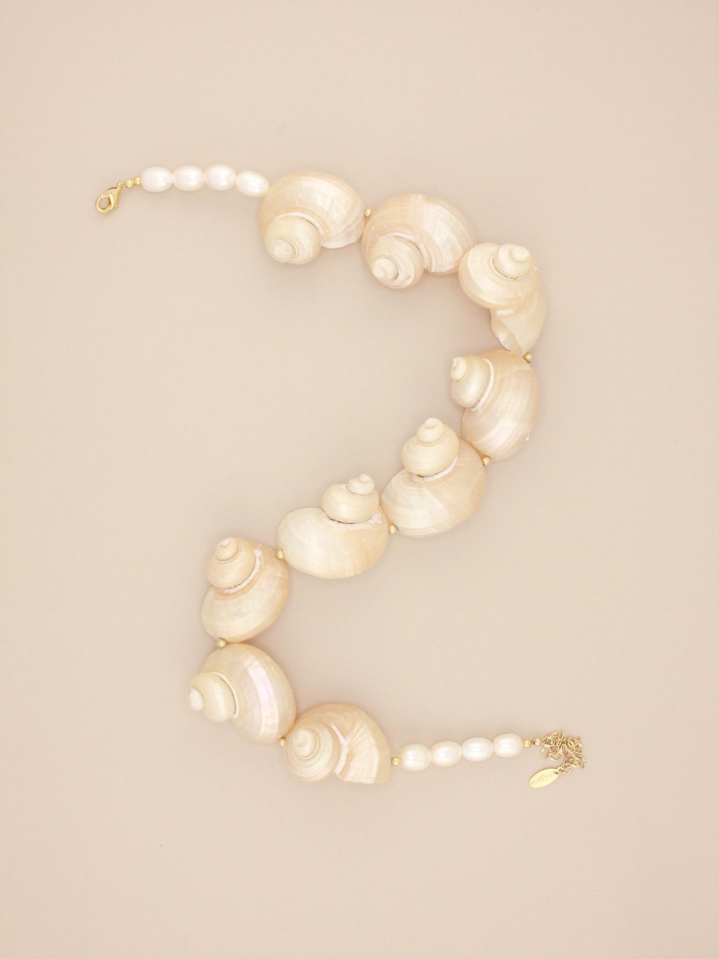 Large Multi Jumbo Turbo Shell Necklace