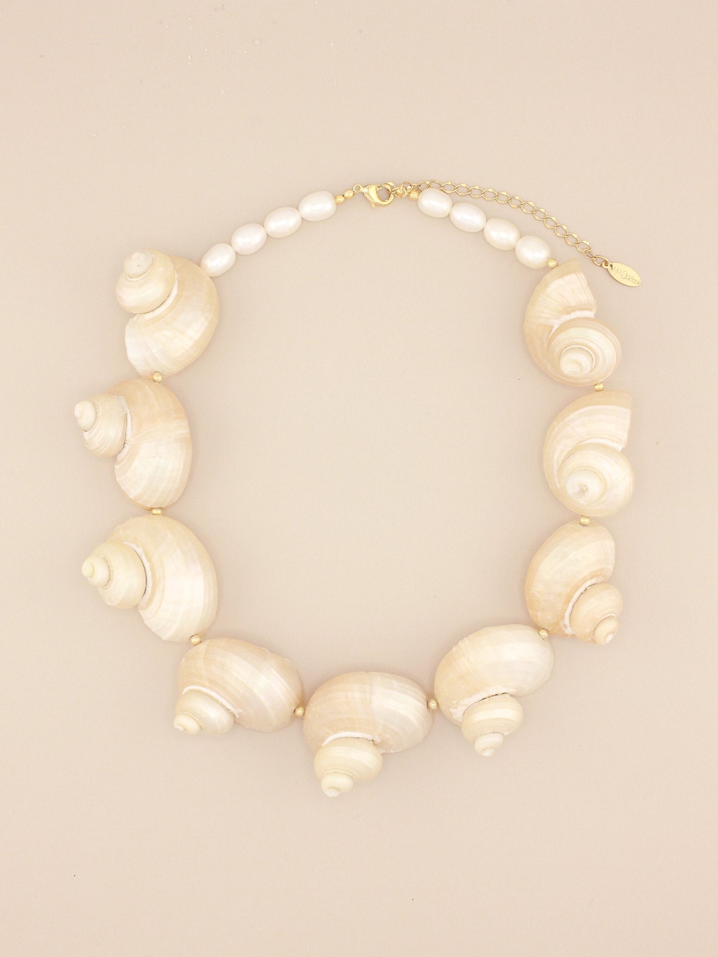 Large Multi Jumbo Turbo Shell Necklace