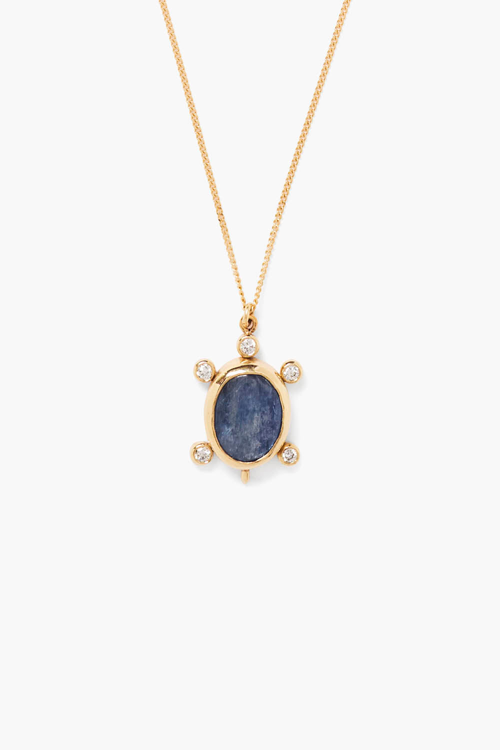 Kyanite 14k Gold Turtle Necklace