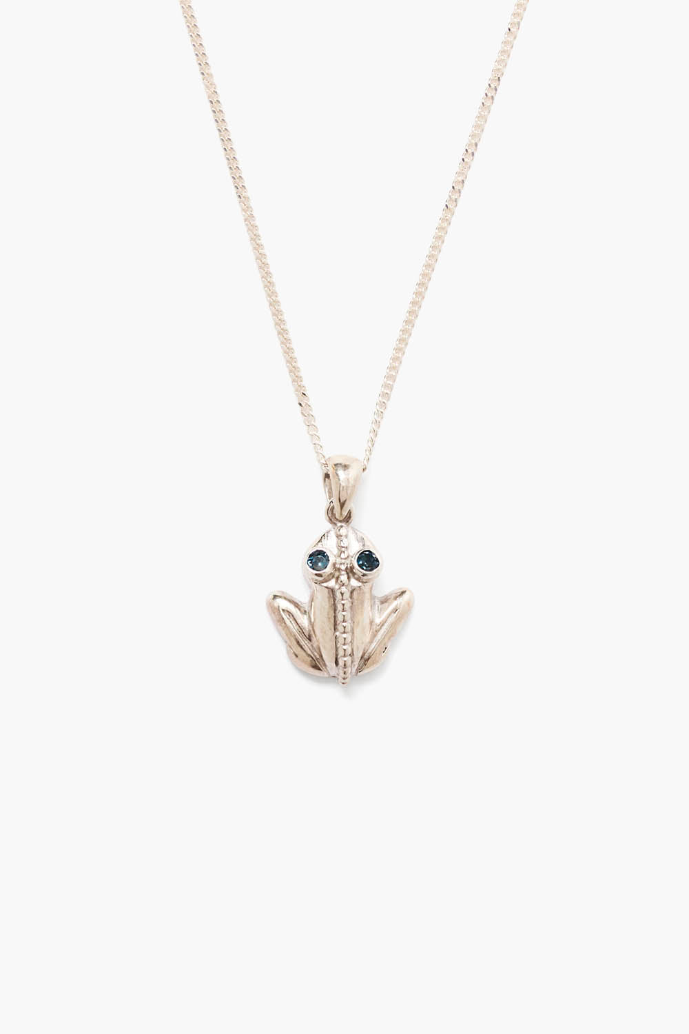 Silver Coqui Frog Pendant Necklace