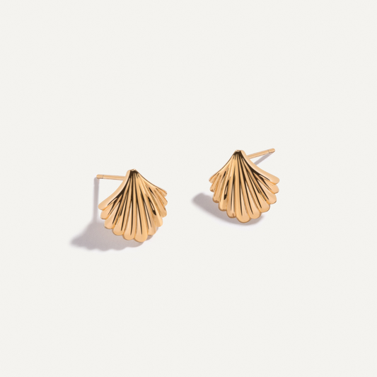 Stylish Shell Earrings for Everyday Wear