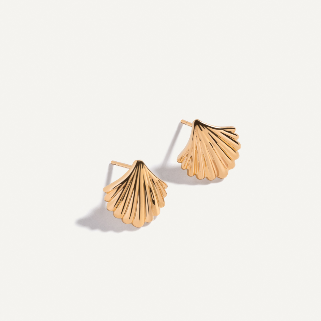 Stylish Shell Earrings for Everyday Wear