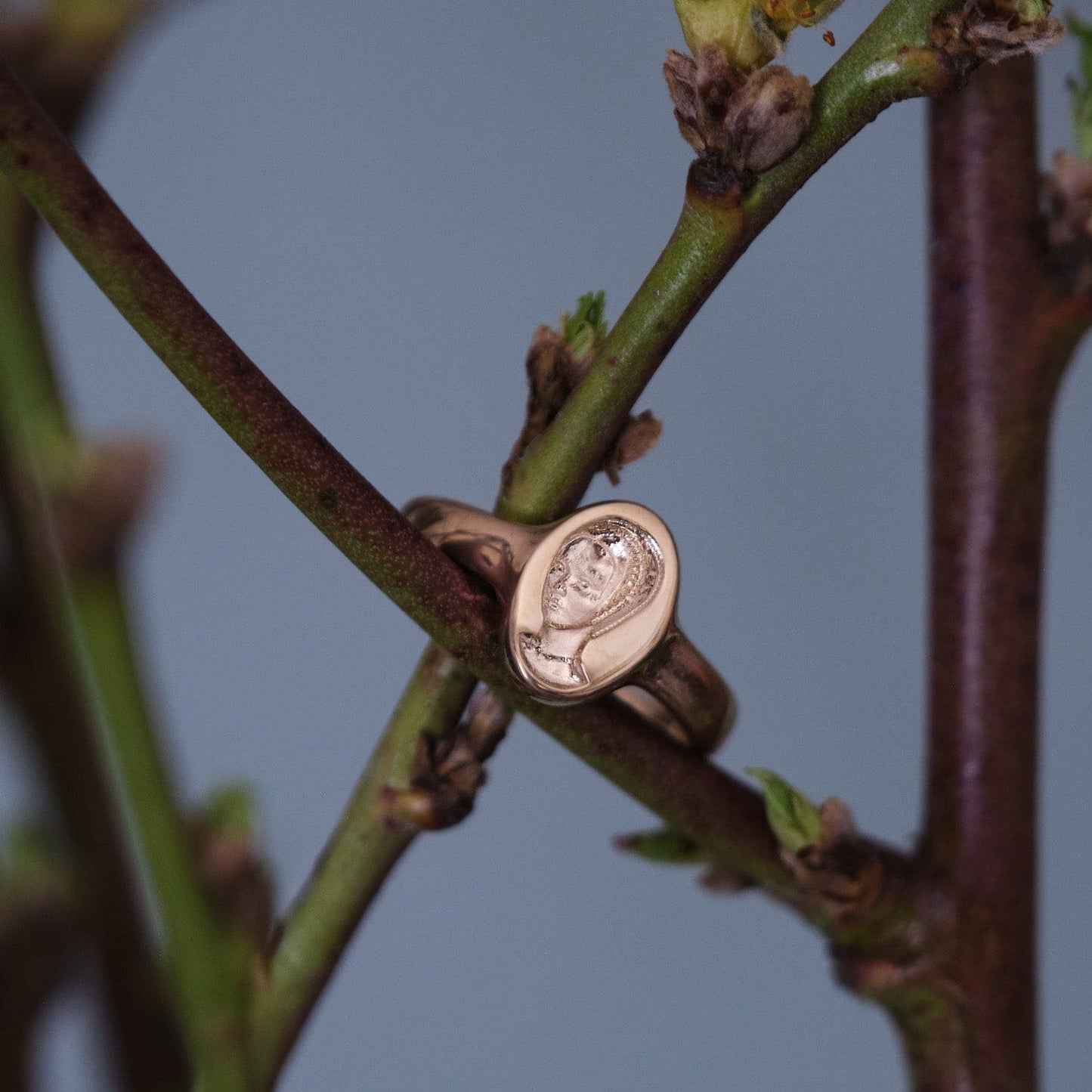 Solid Gold Signet Ring for Elegant Style