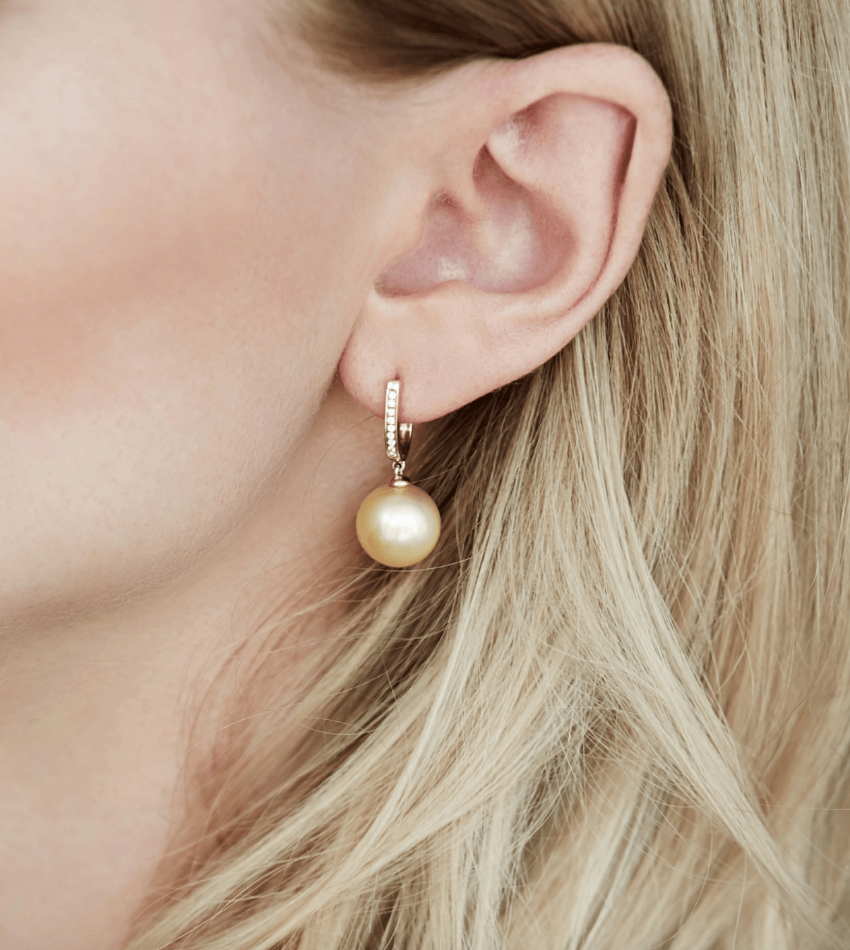 18K Gold Earrings with Golden South Sea Pearls