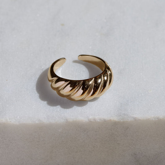 Twisted Gold Ring in DNA Design