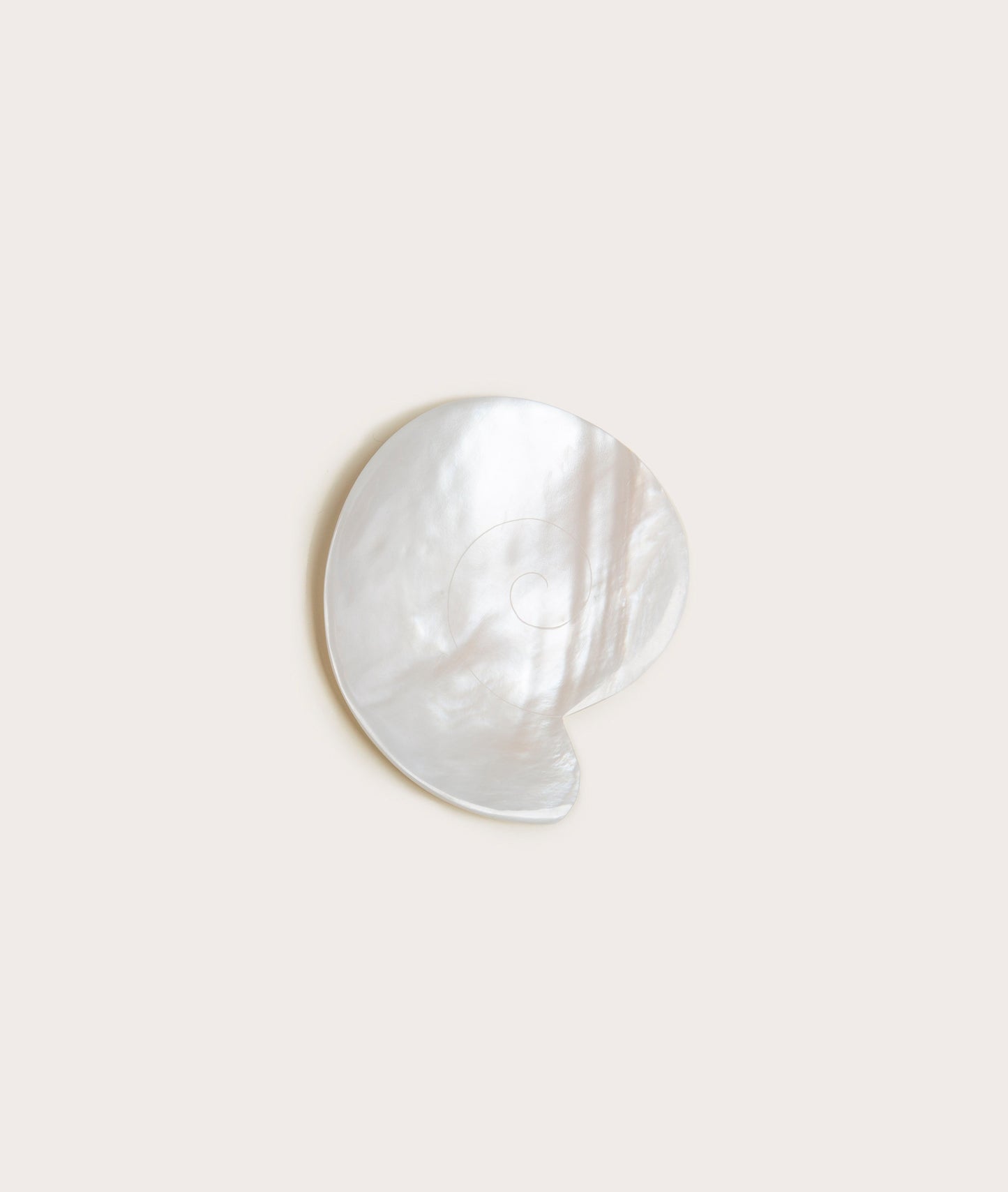 Mother of Pearl Nautilus Dish Home Decor